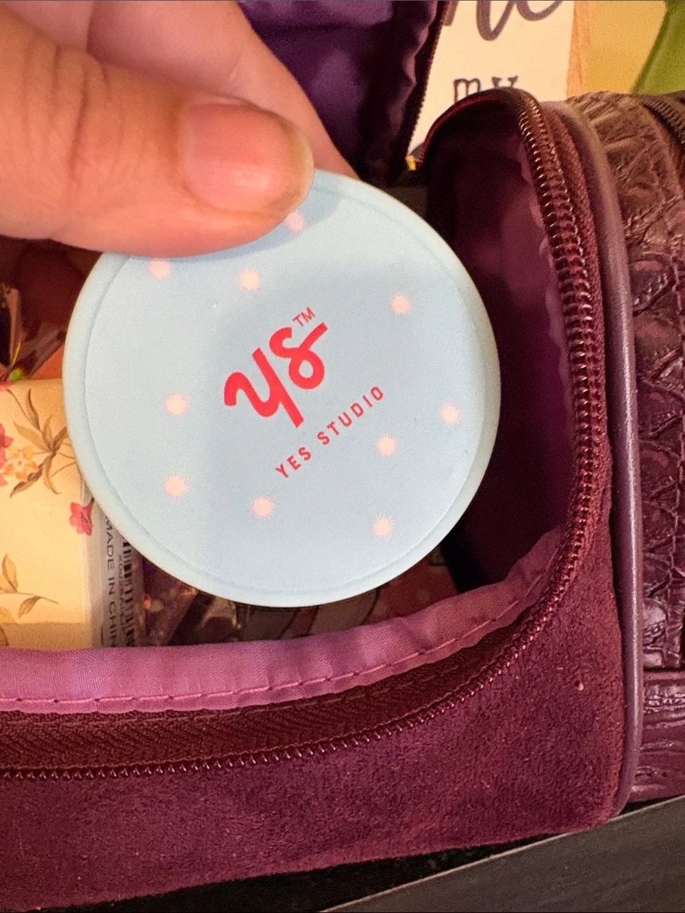 10 MYSTERY Items Including Cosmetic Travel Case with Hook & side pockets